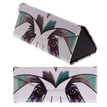 Funky Foldable Glasses Case